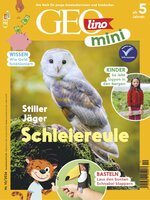GEOmini